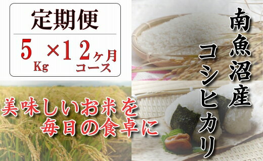 【ふるさと納税】 定期便 契約栽培　南魚沼産コシヒカリ「八龍の尾」5kg×全12回 │ 送料無料 魚沼産 コシヒカリ 魚沼 新潟 こしひかり 新潟県産 白米 精米 米 お米 産直 産地直送 お取り寄せ お楽しみ