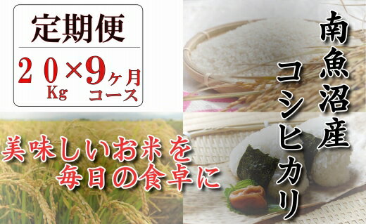 【ふるさと納税】 定期便 契約栽培　南魚沼産コシヒカリ「八龍の尾」20kg×全9回 │ 送料無料 魚沼産 コシヒカリ 魚沼 新潟 こしひかり 新潟県産 白米 精米 米 お米 産直 産地直送 お取り寄せ お楽しみ