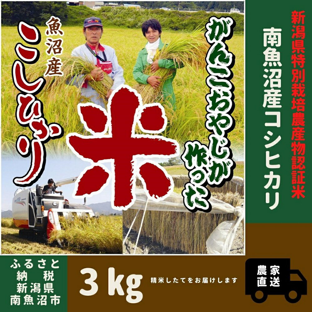 【ふるさと納税】令和5年産【特別栽培米】がんこおやじが作った