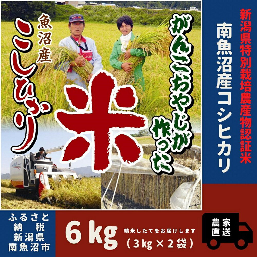 【ふるさと納税】【令和6年産新米予約／令和6年9月下旬より順次発送】　がんこおやじが作った南魚沼産コシヒカリ 白米6kg（3kg×2袋） | お米 こめ 白米 コシヒカリ 食品 人気 おすすめ 送料無料 魚沼 南魚沼 南魚沼市 新潟県産 新潟県 精米 産直 産地直送 お取り寄せのサムネイル