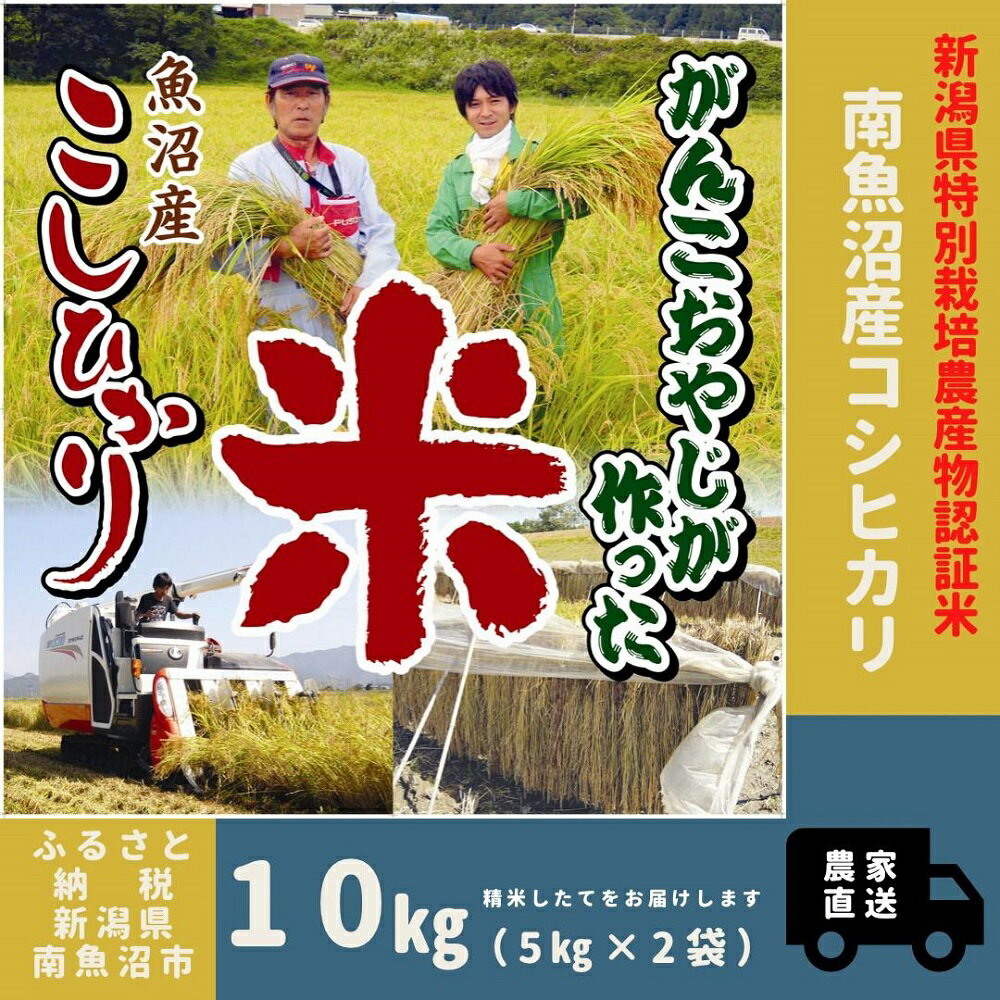 【ふるさと納税】令和5年産【特別栽培米】がんこおやじが作った南魚沼産コシヒカリ 白米10kg（5kg×2袋） | お米 こめ 白米 コシヒカリ 食品 人気 おすすめ 送料無料 魚沼 南魚沼 南魚沼市 新潟県産 新潟県 精米 産直 産地直送 お取り寄せのサムネイル