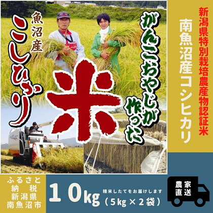 令和5年産【特別栽培米】がんこおやじが作った南魚沼産コシヒカリ 白米10kg（5kg×2袋） | お米 こめ 白米 コシヒカリ 食品 人気 おすすめ 送料無料 魚沼 南魚沼 南魚沼市 新潟県産 新潟県 精米 産直 産地直送 お取り寄せ