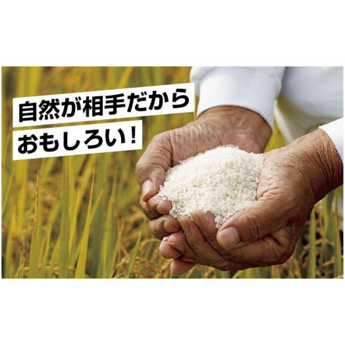 【ふるさと納税】｜無洗米｜新潟県 南魚沼産 コシヒカリ お米 2kg（お米の美味しい炊き方ガイド付き）