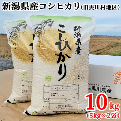 米 10kg 5kg×2袋 新潟 コシヒカリ 新潟こしひかり 白米 新潟県産コシヒカリ精米10kg（旧黒川村地区）