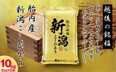 楽天ふるさと納税　【ふるさと納税】米 10kg 5kg×2袋 新潟こしひかり 白米 食味鑑定士厳選　新潟県胎内産コシヒカリ10kg（5kg×2袋）