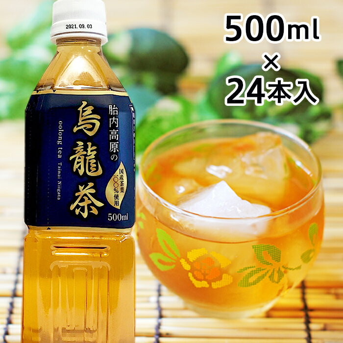 【ふるさと納税】0114　胎内高原の烏龍茶　500ml×24本入