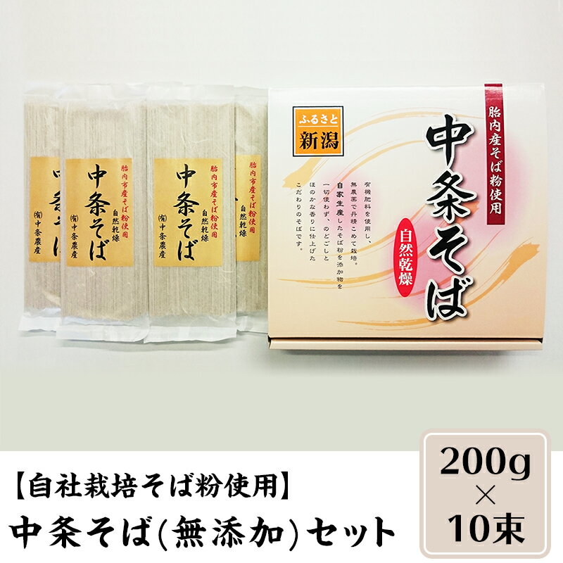 【ふるさと納税】0132　【自社栽培そば粉使用】中条そば(無添加)セット