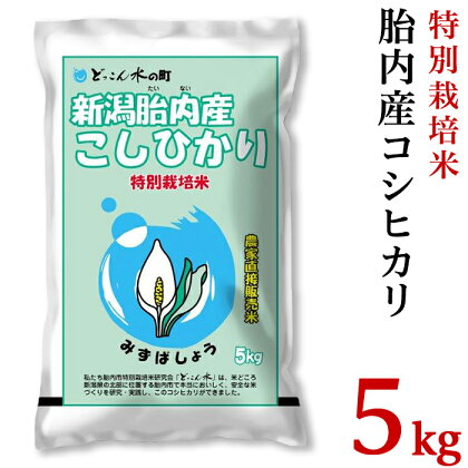 米 令和5年 白米 23-B3R5新潟県胎内市産「どっこん水」コシヒカリ5kg（特別栽培米研究会）