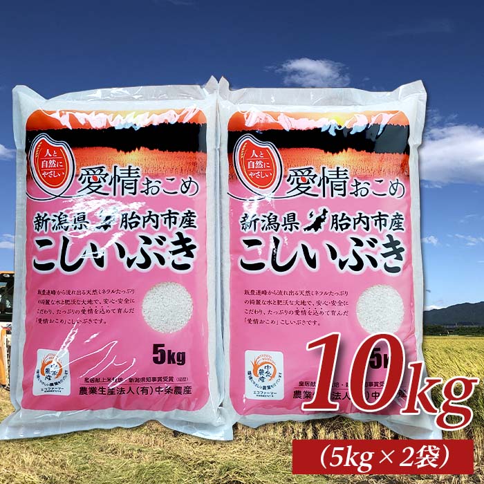 楽天ふるさと納税　【ふるさと納税】令和5年 米 10kg 5kg×2袋 新潟 こしいぶき 白米 16-I101新潟県胎内市産こしいぶき10kg（5kg×2袋）