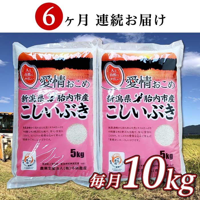 41位! 口コミ数「0件」評価「0」令和5年 米 定期便 6回 10kg 5kg×2袋 新潟 こしいぶき 白米 16-I106【6ヶ月連続お届け】新潟県胎内市産こしいぶき10k･･･ 