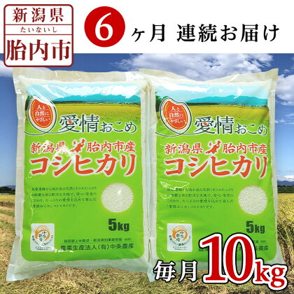 令和5年 米 定期便 6回 10kg 5kg×2袋 新潟 コシヒカリ 新潟こしひかり 白米 16-K106【6ヶ月連続お届け】新潟県胎内市産コシヒカリ10kg（5kg×2袋）