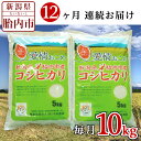 【ふるさと納税】令和5年 米 定期便 12回 10kg 5kg×2袋 新潟 コシヒカリ 新潟こしひかり 白米 16-K10Z【12ヶ月連続お届け】新潟県胎内市産コシヒカリ10kg（5kg×2袋）