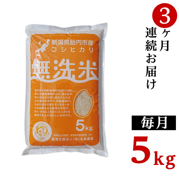 【ふるさと納税】令和5年 米 定期便 3回 5kg 無洗米 