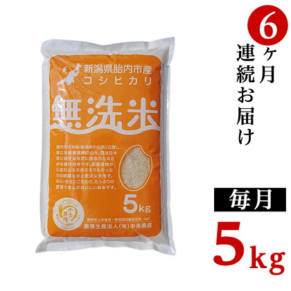 令和5年 米 定期便 6回 5kg 無洗米 新潟 コシヒカリ 新潟こしひかり 白米 16-M056【6ヶ月連続お届け】新潟県胎内市産コシヒカリ【無洗米】5kg