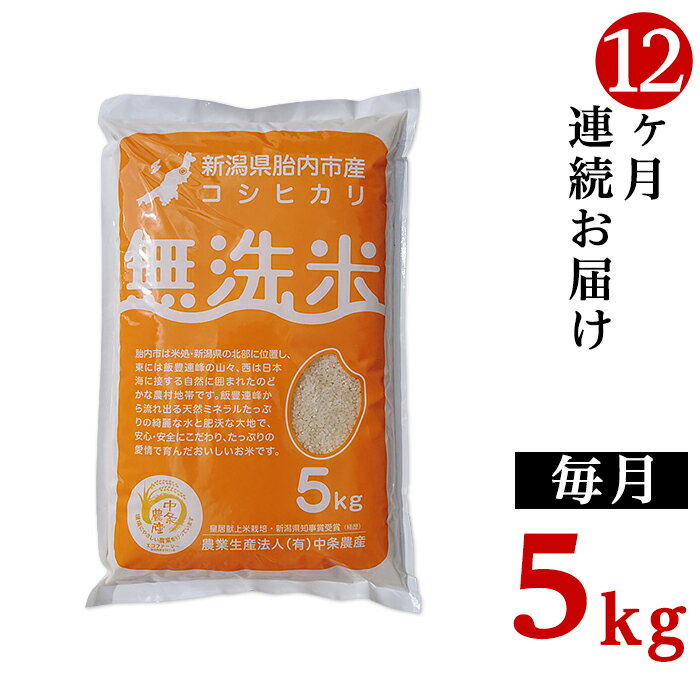 【ふるさと納税】令和5年 米 定期便 12回 5kg 無洗米