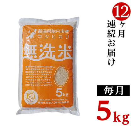 令和5年 米 定期便 12回 5kg 無洗米 新潟 コシヒカリ 新潟こしひかり 白米 16-M05Z【12ヶ月連続お届け】新潟県胎内市産コシヒカリ【無洗米】5kg