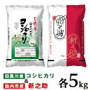 16位! 口コミ数「0件」評価「0」令和5年 米 食べ比べ 10kg 新之助 新潟こしひかり 白米 23-B2R5新潟県旧黒川村産コシヒカリ5kg＋新之助5kg