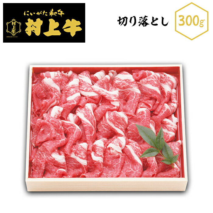 肉 23-16黒毛和牛[村上牛]切り落とし300g