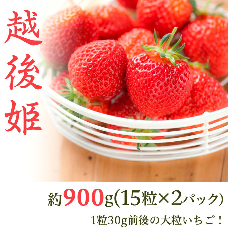 23-C1いちご越後姫900g（15粒×2パック）新潟県産