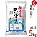 15位! 口コミ数「7件」評価「4.57」令和5年 米 定期便 5kg 6回 新潟 コシヒカリ 新潟こしひかり 白米 23-K56R5【6ヶ月連続お届け】新潟県中条産コシヒカリ5kg