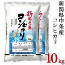 29位! 口コミ数「0件」評価「0」令和5年 米 10kg 5kg×2袋 新潟こしひかり 白米 23-K101R5新潟県中条産コシヒカリ10kg（5kg×2袋）