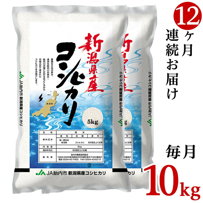 令和5年 米 定期便 10kg 5kg×2袋 12回 新潟こしひかり 白米 23-K10ZR5[12ヶ月連続お届け]新潟県中条産コシヒカリ10kg(5kg×2袋)