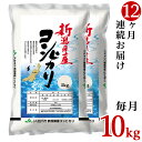 【ふるさと納税】令和5年 米 定期便 10kg 5kg×2袋 12回 新潟こしひかり 白米 23-K10ZR5【12ヶ月連続お届け】新潟県中条産コシヒカリ10kg（5kg×2袋）