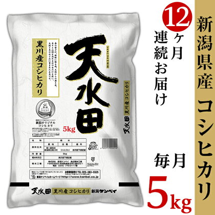 米 定期便 5kg 12ヶ月 新潟こしひかり 令和5年 白米 27-05Z【12ヶ月連続お届け】新潟県黒川産コシヒカリ5kg【天水田】