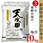 【ふるさと納税】米 定期便 10kg 令和5年 白米 27-103【3ヶ月連続お届け】新潟県黒川産コシヒカリ10kg（5kg×2袋）【天水田】