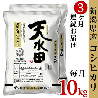 米 定期便 10kg 令和5年 白米 27-103【3ヶ月連続お届け】新潟県黒川産コシヒカリ10kg（5kg×2袋）【天水田】