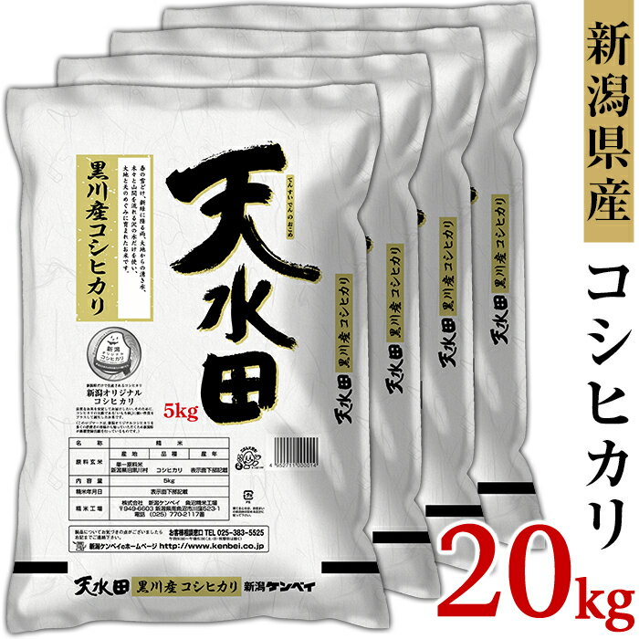 【ふるさと納税】米 20kg 令和5年 白米 27-201新