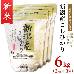 【ふるさと納税】米 令和3年 白米 31-01新潟県産コシヒカリ6kg（2kg×3袋）