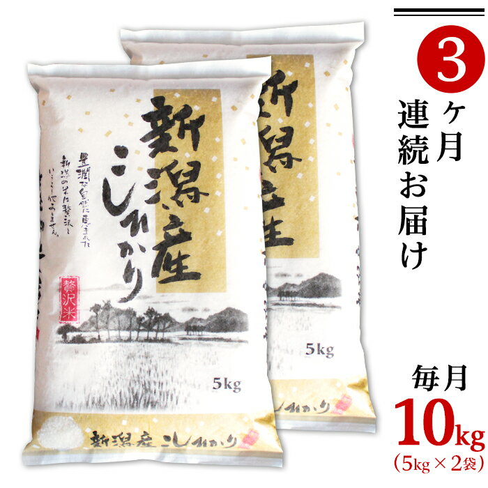 【ふるさと納税】令和5年 米 定期便 10kg 5kg×2袋 新潟こしひかり 白米 K103【3ヶ月連続お届け】新潟県産コシヒカリ10kg（5kg×2袋）