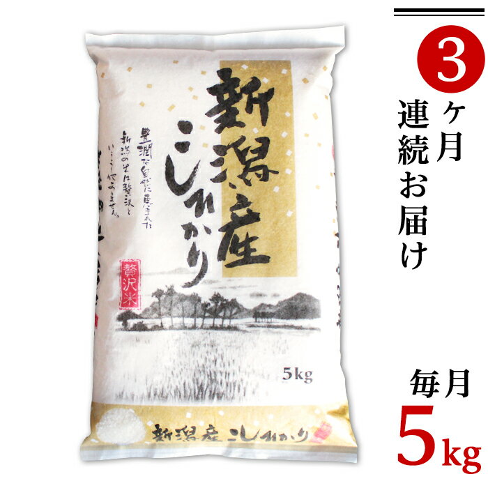 【ふるさと納税】令和5年 米 定期便 5kg 新潟こしひかり 白米 K53【3ヶ月連続お届け】新潟県産コシヒ...