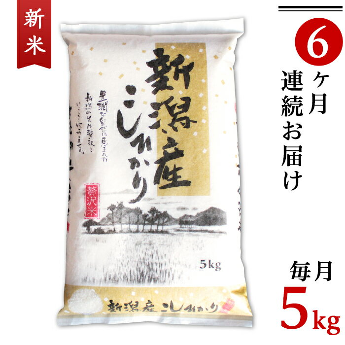 【ふるさと納税】米 定期便 5kg 6ヶ月 令和3年 白米 31-056【6ヶ月連続お届け】新潟県産コシヒカリ5kg