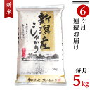 【ふるさと納税】米 定期便 5kg 6ヶ月 新潟こしひかり 令和4年 新米 白米 31-056【6ヶ月連続お届け】新潟県産コシヒカリ5kg