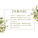 新潟県胎内市の画像3