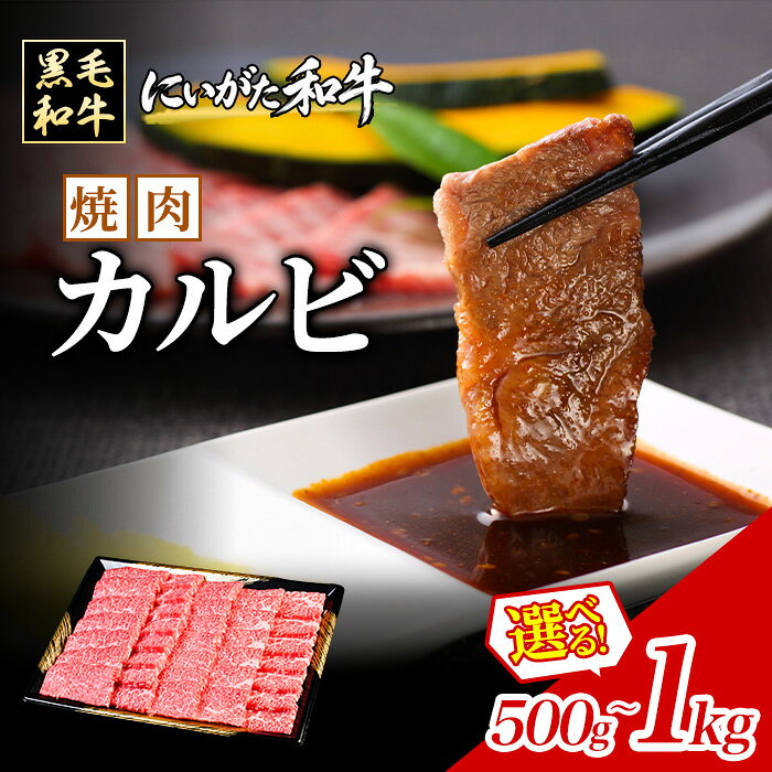 【選べる内容量】 黒毛和牛 にいがた和牛 国産 牛肉 焼肉 カルビ 牛 肉 和牛 精肉 ごちそう 新潟 胎内 にいがた和牛 焼肉カルビ