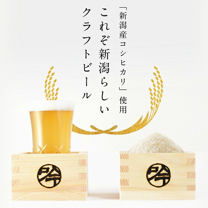 【ふるさと納税】お酒 ビール 6本 定期便 3回 地ビール 新潟 クラフトビール IPA 飲み比べ 宅飲み 家飲み 晩酌 お取り寄せ ギフト 贈り物 プレゼント A06-3【3ヶ月連続お届け】吟籠クラフトビール6本飲み比べセット（2種各3本）