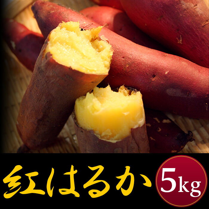 芋 さつまいも 紅はるか 5kg サツマイモ べにはるか 0261紅はるか5kg（新潟県胎内産）