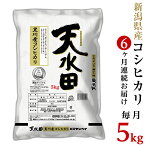 【ふるさと納税】米 定期便 5kg 6ヶ月 新潟こしひかり 令和5年 白米 27-056A【6ヶ月連続お届け】新潟県黒川産コシヒカリ5kg【天水田】