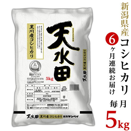 米 定期便 5kg 6ヶ月 新潟こしひかり 令和5年 白米 27-056A【6ヶ月連続お届け】新潟県黒川産コシヒカリ5kg【天水田】