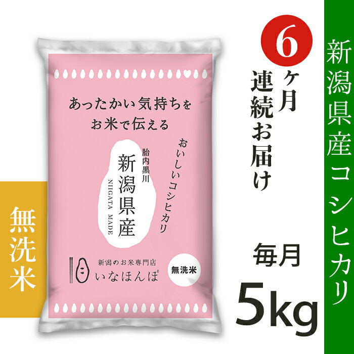 【ふるさと納税】定期便 米 無洗米 5kg 6ヶ月 新潟こし