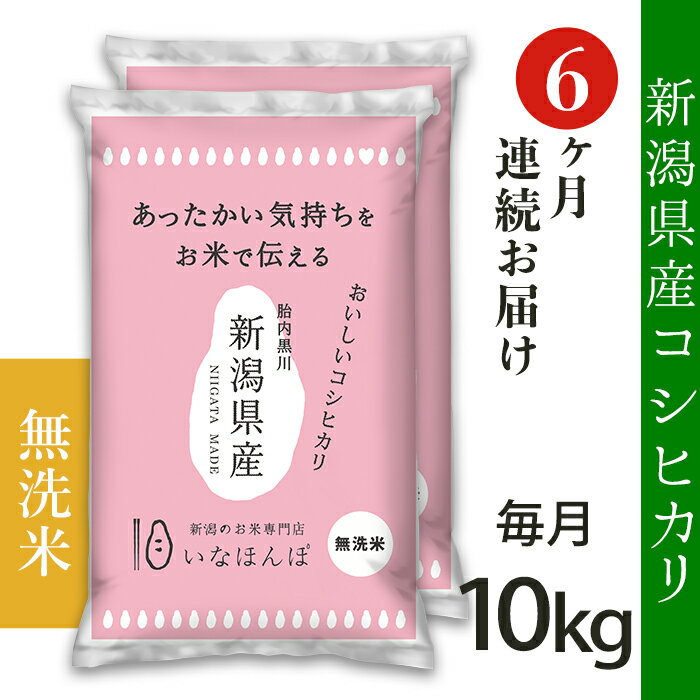 定期便 米 無洗米 10kg 6ヶ月 5kg×2袋 新潟こしひかり 令和5年 白米 27-M106[無洗米]新潟県産コシヒカリ10kg(5kg×2袋)[6ヶ月連続お届け]