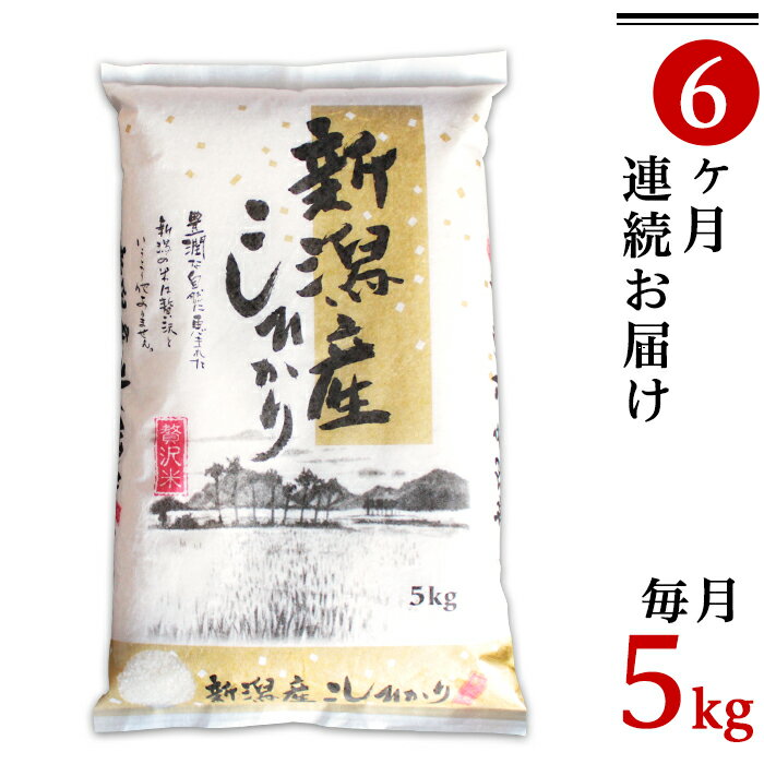 令和5年 米 定期便 5kg 6ヶ月 新潟こしひかり 白米 K56【6ヶ月連続お届け】新潟県産コシヒカリ5kg