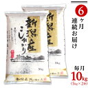 人気ランキング第30位「新潟県胎内市」口コミ数「6件」評価「3.83」令和5年 米 定期便 10kg 5kg×2袋 6ヶ月 新潟こしひかり 白米 K106【6ヶ月連続お届け】新潟県産コシヒカリ10kg（5kg×2袋）