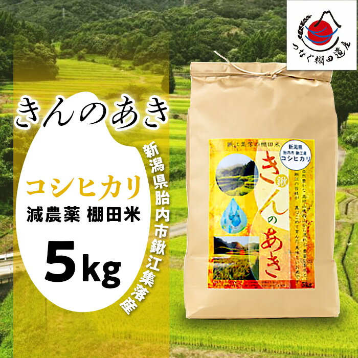 59位! 口コミ数「0件」評価「0」米 5kg 新潟こしひかり 白米 【減農薬】胎内市鍬江集落産棚田米きんのあき（コシヒカリ）5kg