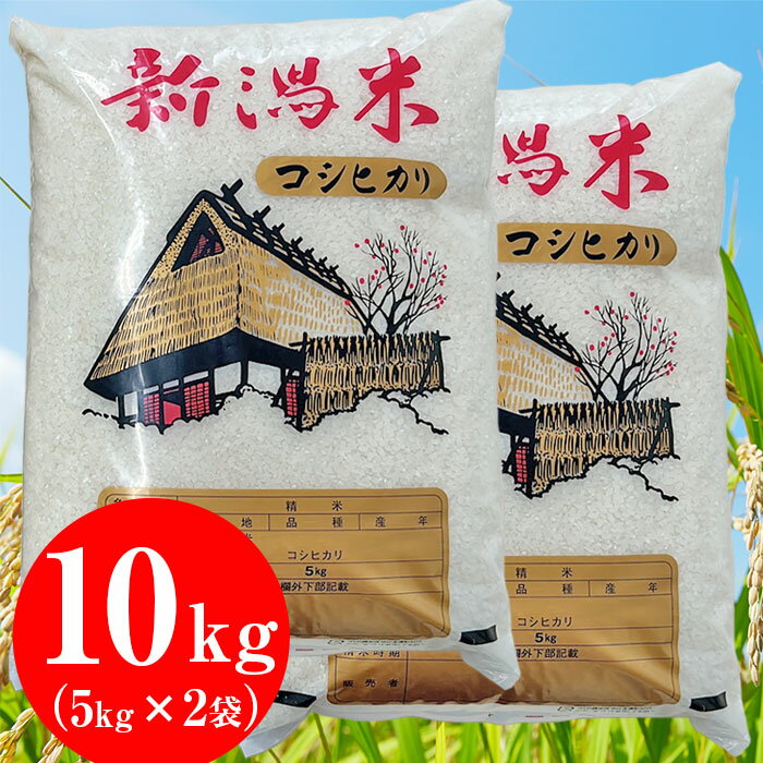 米 10kg 5kg×2袋 新潟こしひかり 新潟 コシヒカリ 白米 新潟県産コシヒカリ10kg(5kg×2袋)[片野周一]