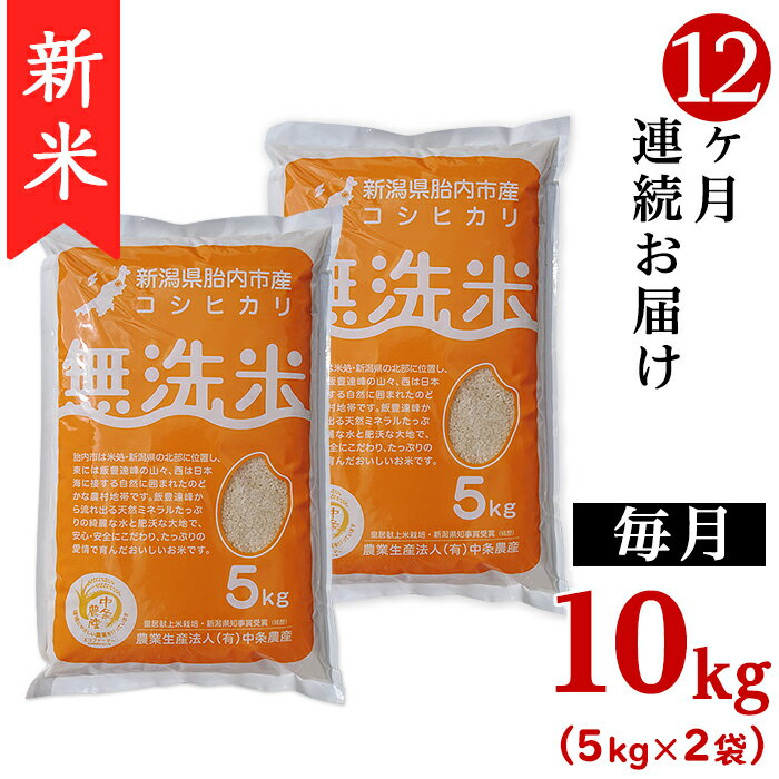 【ふるさと納税】米無洗米定期便10kg12ヶ月令和4年白米16-M10Z【12ヶ月連続お届け】新潟県胎内市産コシヒカリ【無洗米】10kg(5kg×2袋)