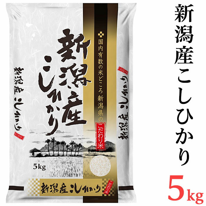 令和5年 米 5kg 新潟こしひかり 白米 K51新潟県産コシヒカリ5kg